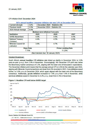 CPI Inflation Brief: December 2024