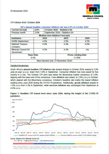 CPI Inflation Brief: October 2024